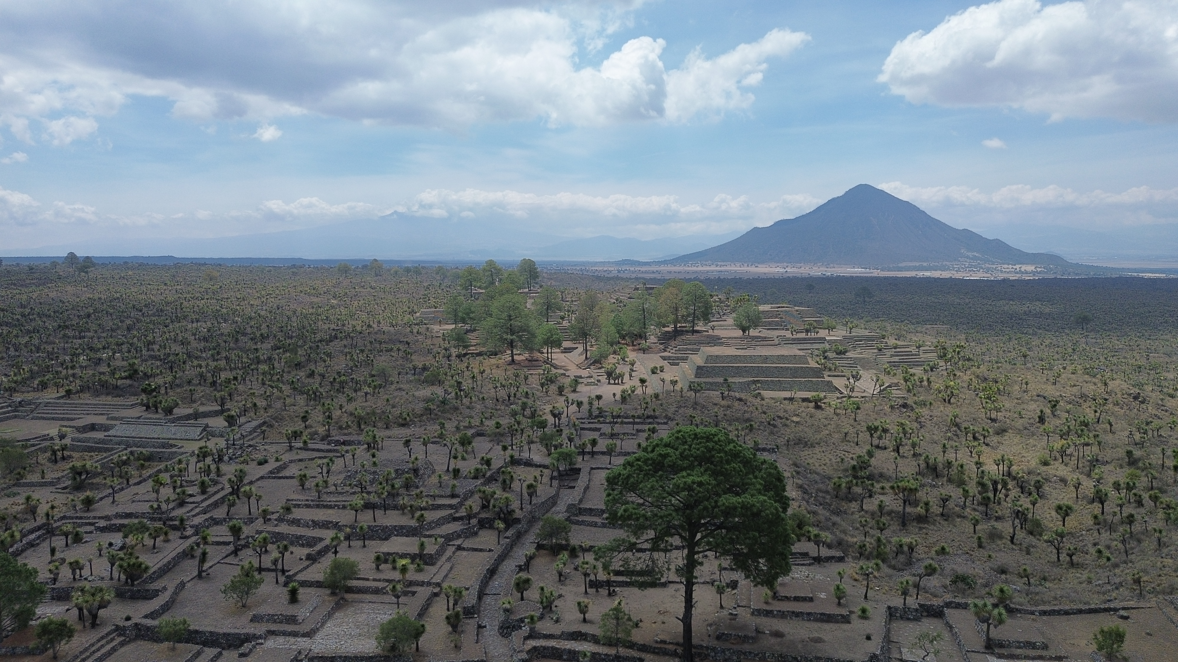 Descripción de la imagen 1