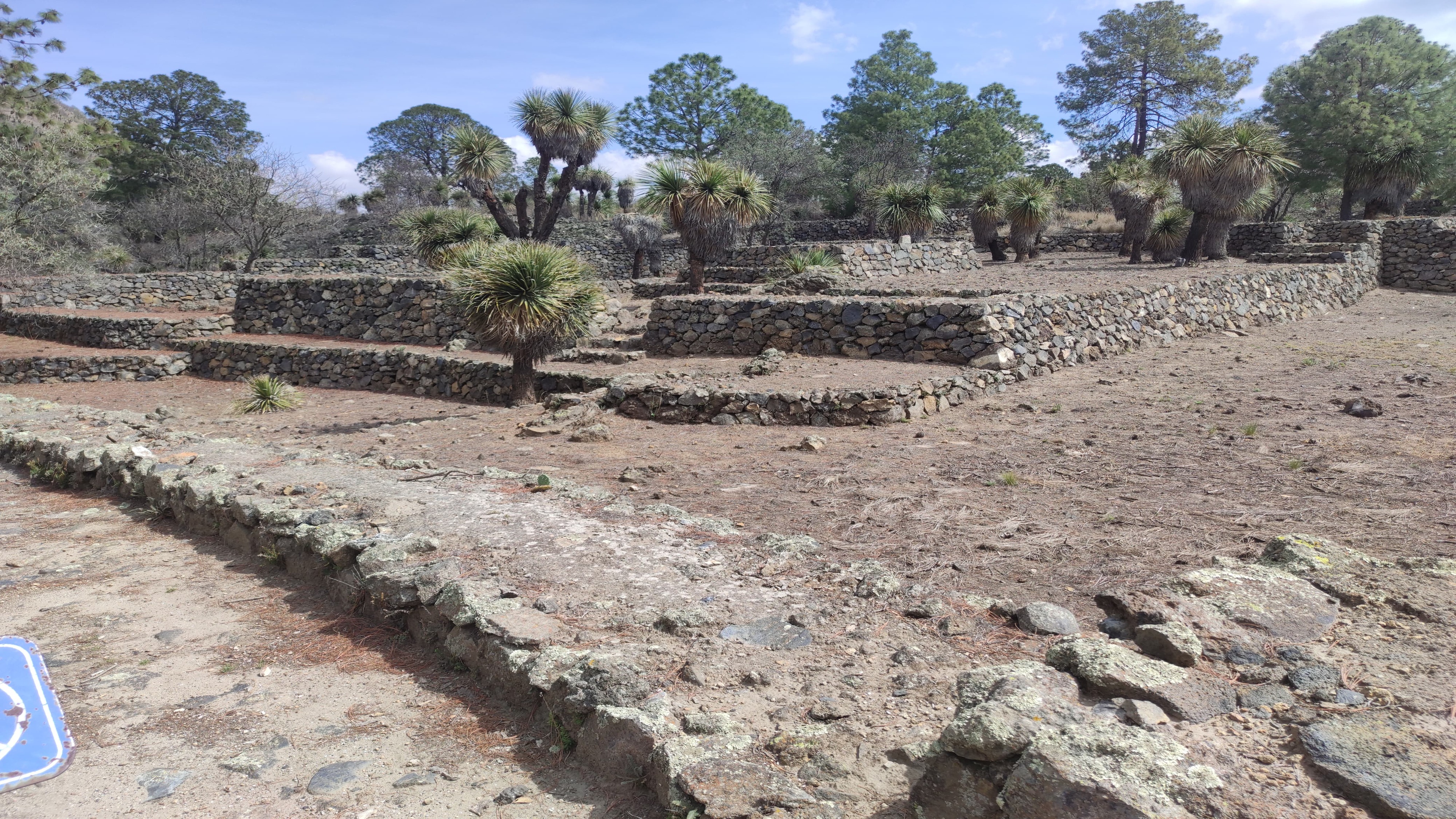 Descripción de la imagen 2